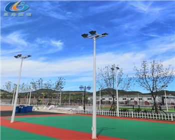 陜西延安學(xué)校路燈照明項目